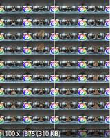 HoliVR - Bumsbus Audition 2 : Blanche Bradburry (2K/2048p/4.36 GB)