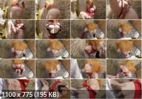 Onlyfans - Enafox (FullHD/1080p/507 MB)