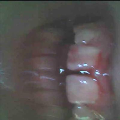 Dazey Doom - Grind Your Teeth (Single) (2025)