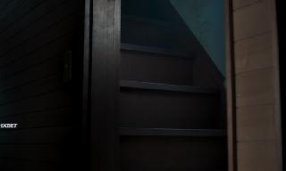    (2024)