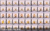 WankitnowVR - Sustain Your Erection : Ashley Jayne (UltraHD/4K/2880p/2.92 GB) WankitnowVR - Sustain Your Erection : Ashley Jayne (UltraHD/4K/2880p/2.92 GB)