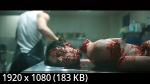 :  (1 /2025/WEB-DL/720p/1080p)
