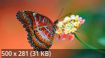 500 Mb Mix Wallpapers Collection 363