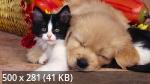 Mixturka - Wallpapers Collection 164