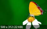 1 Gb+ Mixture Wallpapers Collection 31