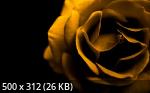1 Gb+ Mixture Wallpapers Collection 31