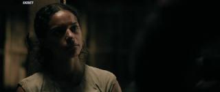40  (2024)