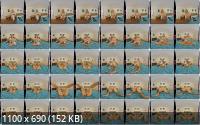 WankitnowVR - Missing Knickers : Natalia Forrest (UltraHD/4K/2880p/3.50 GB)