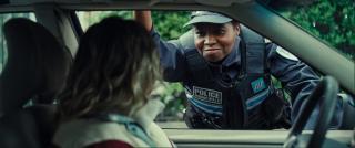   / Factice (1 /2025/WEB-DL)