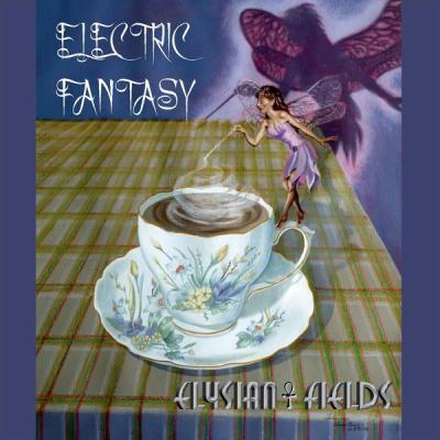Elysian Fields - Electric Fantasy (2021) [FLAC 16B-44.1kHz]