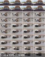 VRHush - Nikki Delano's Perfect Ass (UltraHD/4K/4096p/3.16 GB)