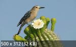 Mixturka - Wallpapers Collection 168