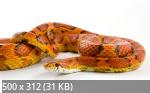 Mixturka - Wallpapers Collection 171