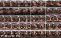 VRBangers - Booksmart  Haley Reed (UltraHD/4K/2048p/3.97 GB)