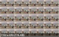 JimmyDraws - Sophia Smith: Room Mate Requests (UltraHD/4K/2880p/1.33 GB)