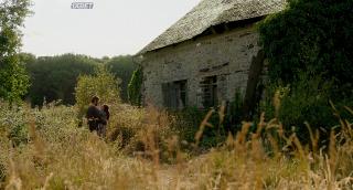   (2024)