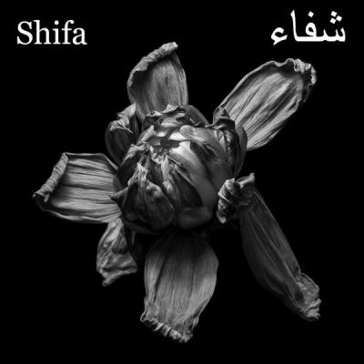 Shifa - Ecliptic (2025) [FLAC 24B-48kHz]
