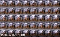 StripzVR.com - Cara Mell Undressed To Kill (UltraHD/4K/2048p/2.10 GB)