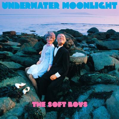 The Soft Boys - Underwater Moonlight  ((45th Anniversary Remaster)) (2025) [FLAC 24B-96kHz]