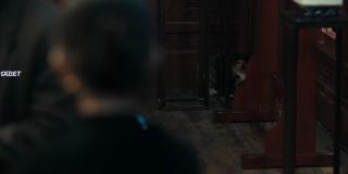   (2024)