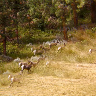 Stan Simon - Narrow Bridge (2025) [FLAC 16B-44.1kHz]