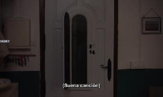  (2025)