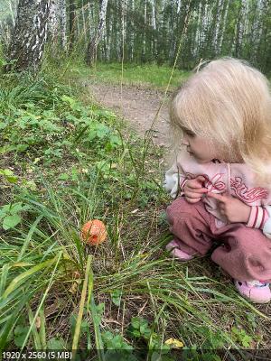 ��� �������� - ����������� ������ ! ( ���. ����� 2.)