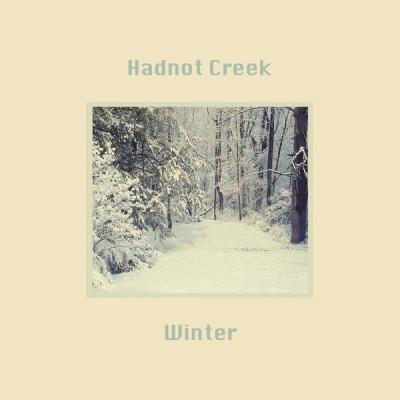 Hadnot Creek - Winter (2018) [FLAC 16B-44.1kHz]