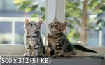 Mixturka - Wallpapers Collection 173