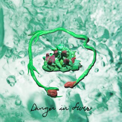 Wombo - Danger in Fives (2025) [FLAC 16B-44.1kHz]