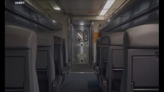   (2024)