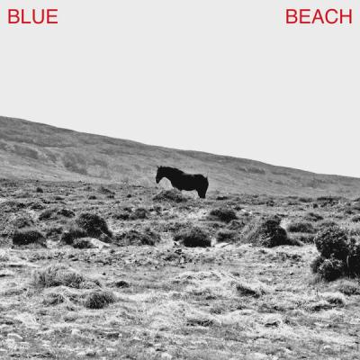 Josh Vine - Blue Beach (2025) [FLAC 24B-44.1kHz]