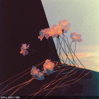 Shane Driscoll - Sounds in the Dark Oppression Break (2025)