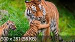 Mixturka - Wallpapers Collection 175