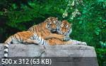 Mixturka - Wallpapers Collection 176
