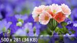 Best Mixture Wallpapers Collection 48