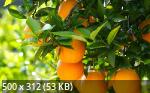 Best Mix Wallpapers 781