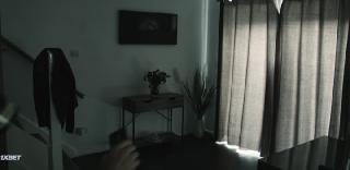   (2025)