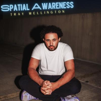 Tray Wellington - Spatial Awareness (2025) [FLAC 24B-96kHz]
