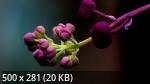 Mixturka - Wallpapers Collection 178