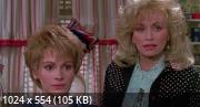   / Steel Magnolias (1989) HDRip / BDRip