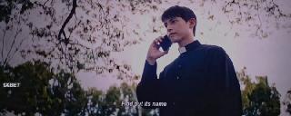    (2025)