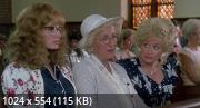   / Steel Magnolias (1989) HDRip / BDRip