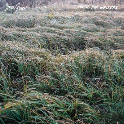 Steve Gunn - Music For Writers (2025) [FLAC 16B-44.1kHz]
