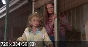   / Steel Magnolias (1989) HDRip / BDRip