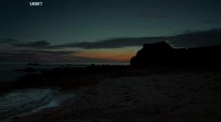  .   (2023)