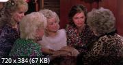   / Steel Magnolias (1989) HDRip / BDRip