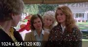   / Steel Magnolias (1989) HDRip / BDRip