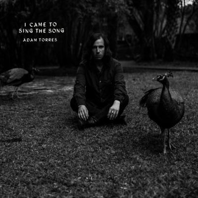 Adam Torres - I Came to Sing the Song (2017) [FLAC 16B-44.1kHz]
