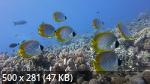 Best Mix Wallpapers 782